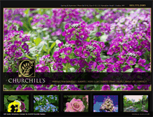 Tablet Screenshot of churchillsgardens.com